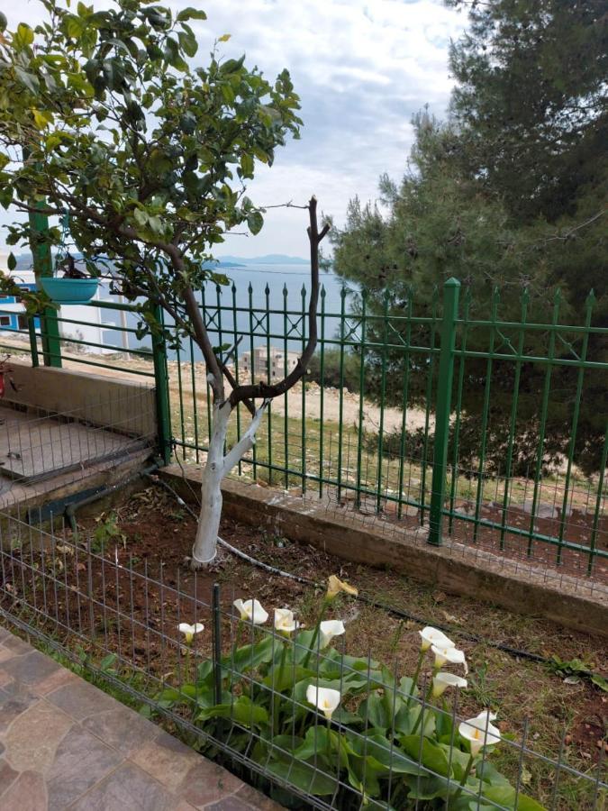 Villa Luiza Saranda Dış mekan fotoğraf